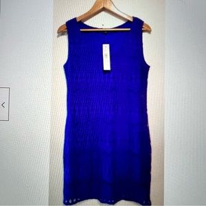 Tiana B sz Xl blue lace knee length NWT